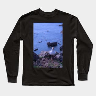 Seagull Chicks Long Sleeve T-Shirt